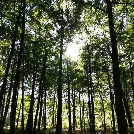 Daire Kuestenzimmer *