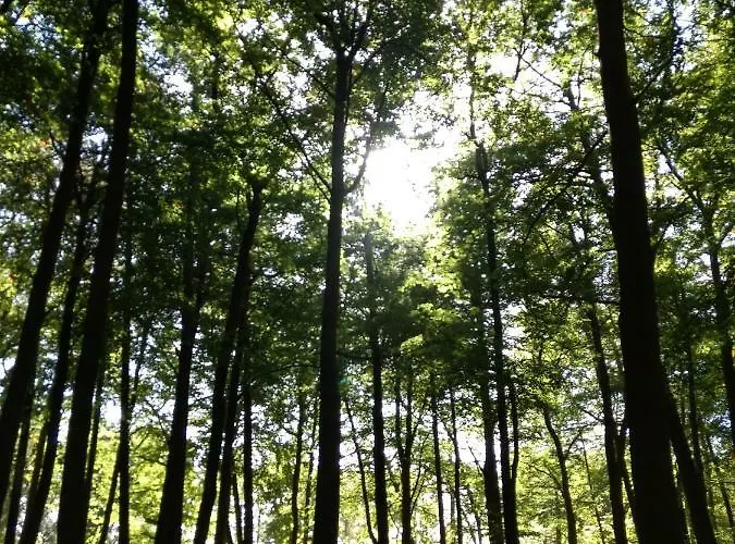 Lägenhet Kuestenzimmer *