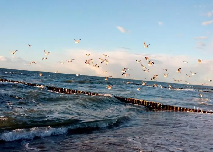 Lägenhet Kuestenzimmer